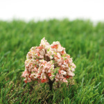 미니어처 나무장식 22701976