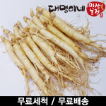 대명이네 인삼농장 오쿠용 1회분 세척 인삼 수삼 원삼 10-13편 250g