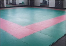 오성 오성 태권도매트 4색 2type 태권도 체육관 체육관용품 OSG-2001