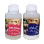 다조아골드 플러스