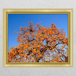 cl429-돈복을불러주는감나무3 창문그림액자 D타입엘레강스실버