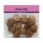 유니아트 2500 천연솔방울 중 5개입 봉 5개입 학습준비 미술시간 만들기재료