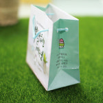 19부활쇼핑백 902민트 10매