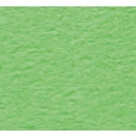 오피스디포 요떼아모폴리백편선지A12 08 1-DCxN62 5매 두성종이