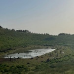 Cent in JEJU 여행 블로그