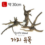 드리프트우드 가지유목 ’L사이즈’