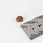 펫후 캣 베스트 그레인프리 체중관리 오리 닭 어덜트