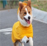 쭈쭈야 켈리몰 강아지 우비 비옷 레인코트 판초우의 바람막이 방수옷