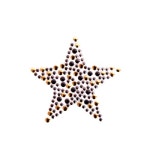의류리폼 핫픽스 모티브 STAR-001