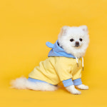 플로트 플로트 강아지 베럴라이프 베어 후드 레몬 1개
