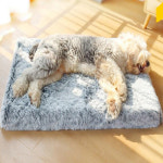 OH 반려동물 잠이솔솔 소프트 방석 M