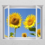 꾸밈 ck143-자연과하나된해바라기 창문그림액자