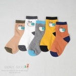 꼼지 꼼지 CA달팽이 5족 세트 중목 유아 아동 양말