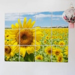 꾸밈 ts292-멀티액자 해바라기동산