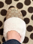 코치 코치 여성 지바 시어링 슬리퍼 3컬러 COACH ZIVA SLIPPER G4640 CD319