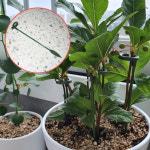 화분 화초 식물지지대 토마토지지대 꽃지지대