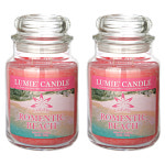 르미에 르미에 630g 기본형 라지자 캔들 비치2개