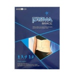 디앤비 37 12 허리보호대 L 코르셋 허리고정