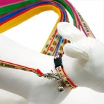 러쉬독 칼라 목줄세트 랜덤발송