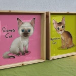 꾸밈 cl318-우드프레임액자 우리집야옹이