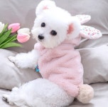 강아지의류 래빗 보아플리스 BND-W40