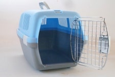 도기프렌드 패션이동장 중 -블루