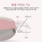 펫츠미 강아지 고양이 혈관 애견 LED 발톱 깎이