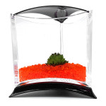 아쿠아테라마리모베타큐브바이오샌드세트블랙델타하늘