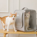 옥희독희 네모백팩 투명 고양이이동장 강아지가방 그레이