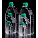 Cell Culture Flask 세포배양플라스크 -SPL 10pcs 팩 SP70075