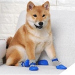 애견양말 4개세트 애완 동물 강아지 신발 방수 슬립 23040941