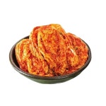 대가식품 동강청정김치 김장 배추김치 10kg