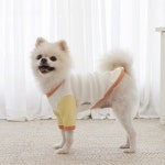 루비디 루비디 강아지옷 루루 티셔츠