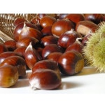 고맛나루 옥광밤 대 4kg