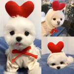 하트 후드 티셔츠 강아지 캐릭터 강아지옷