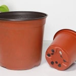모종 이색 포트 화분 지름 10