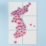 꾸밈 if579-멀티액자 무궁화로나타낸한반도