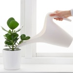 감성적인 식물 화분 화단 물조리개 물뿌리개