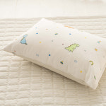 이솔홈 이솔홈 공룡 사계절 마이크로 베개커버 40x60