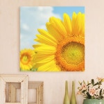 ct080-썬플라워 노프레임