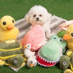 펫트너스 펫트너스 동물농장 노즈워크 장난감 인형