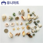 유니아트 5000통 만들기 조개세트 모양랜덤 P0000CFL