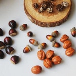 가을 겨울 소품 견과류 미니어처 호두 밤 도토리