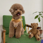 가지가지 하네스세트 반려동물 매쉬소재 앞섬방지 기도보호 산책줄 가슴줄 X줄 목줄 경량하네스 리드줄