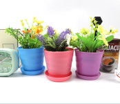 가로무늬 플라스틱 교육 소형 사이즈 미니 화분 1P 1개