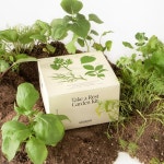 센템 센템 휴식 정원 키트 홈가드닝 반려식물 씨앗 키우기