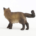 슐라이히 랙돌 고양이