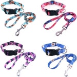 패턴 목줄 리드줄 세트 강아지목줄