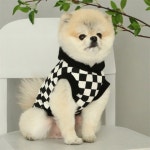 체스 데일리 후디 S