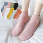 ENVY 엔비 10개세트 파스텔반목양말 여성 양말 사계절 선물